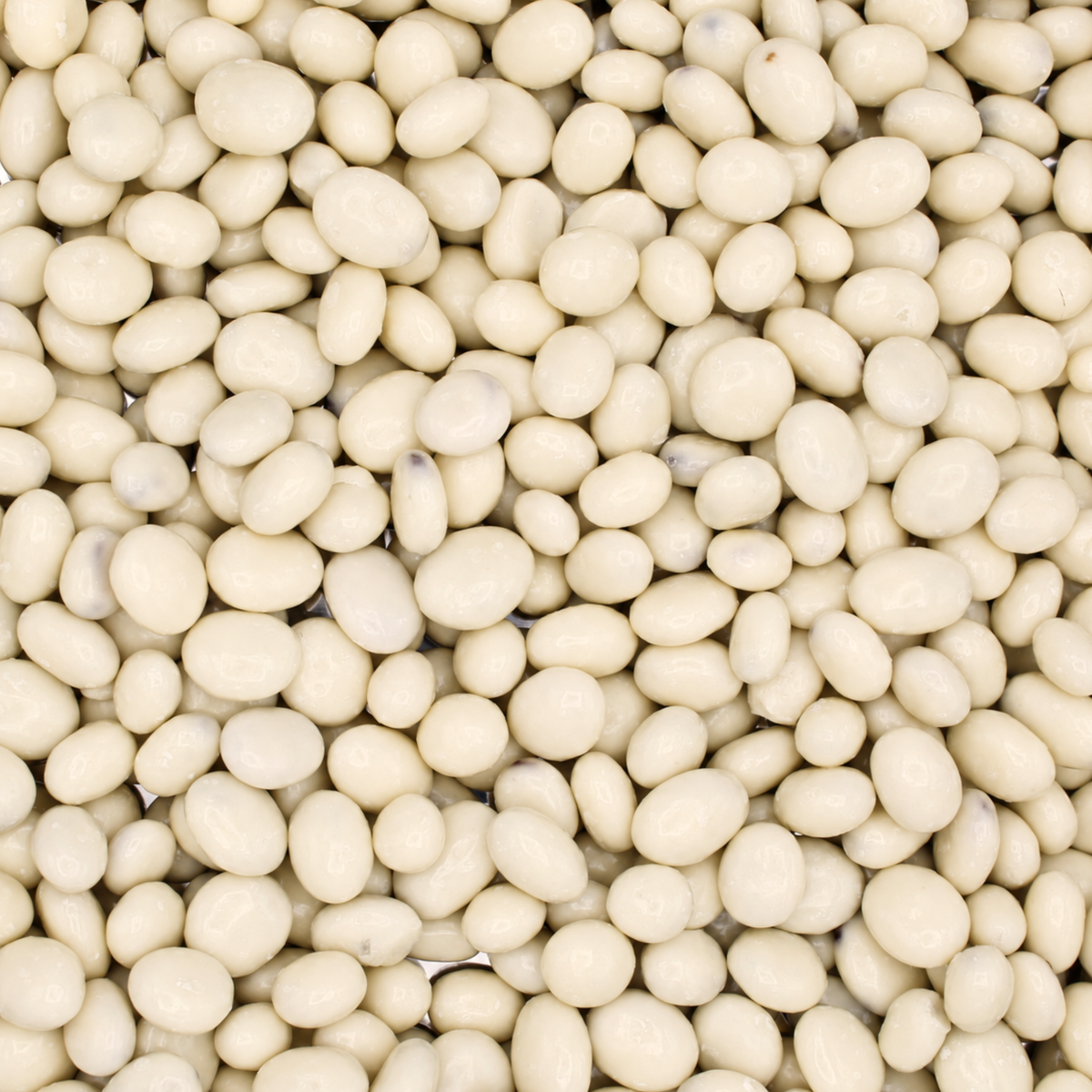 Yogurt Raisins