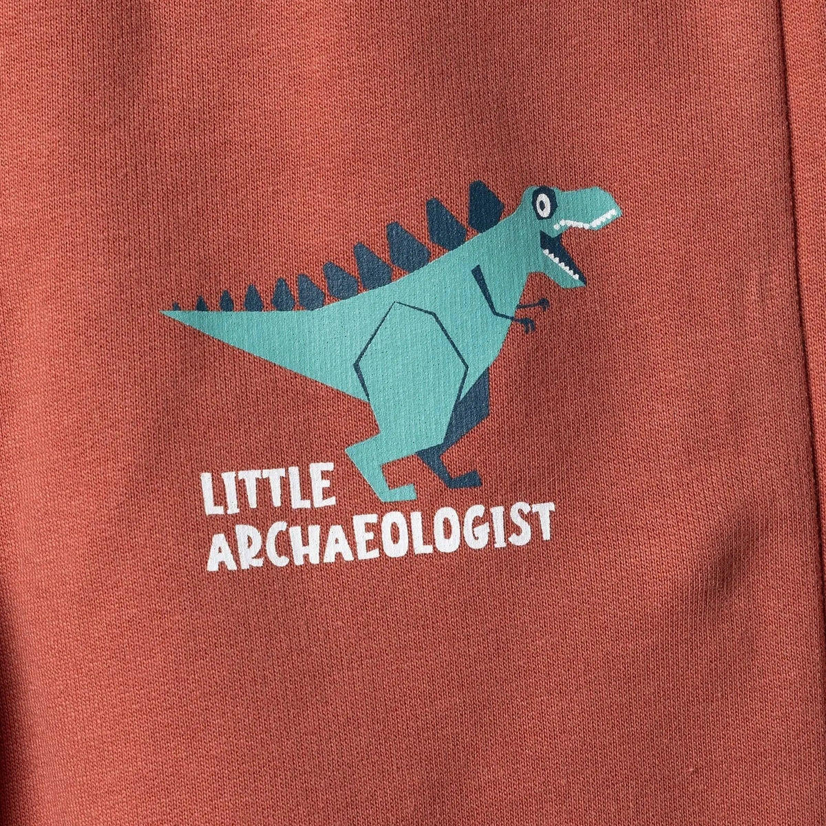 HelloBaby "Little Dino Expert" Slogan Brushed Baby Sweatshirt & Joggers Set (3-6 Months to 4-5 Years)