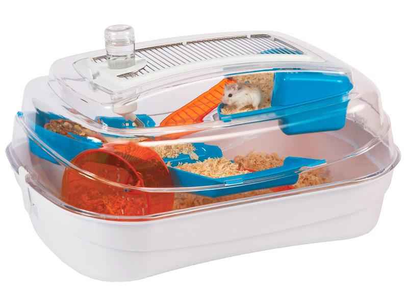 Abode - Blue & Orange