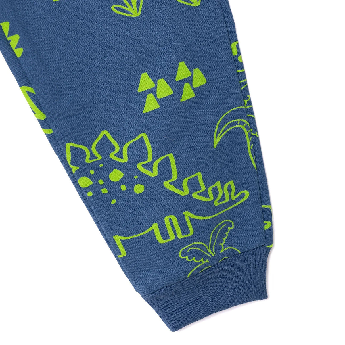 HelloBaby Dinosaur Print Brushed Baby Sweatshirt & Joggers Set (3-6 Months to 4-5 Years)