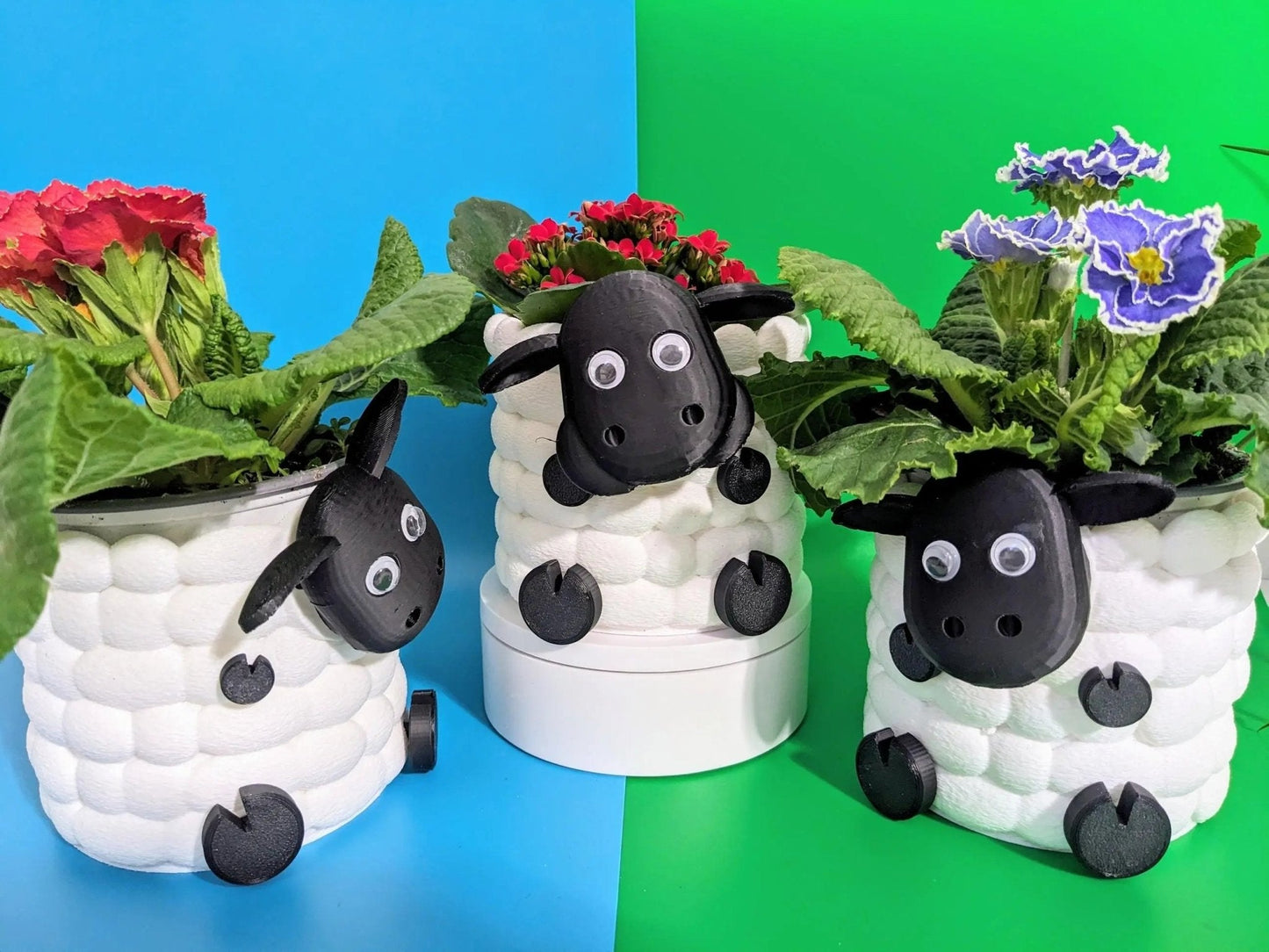 Adorable 3D Printed Sheep Planter -l Plant Pot for Succulents & Small Plants