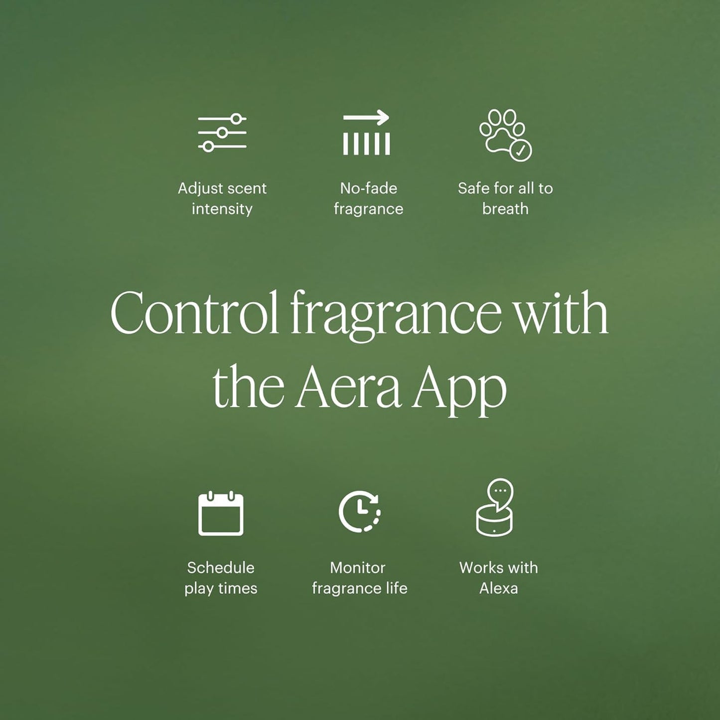 Aera Mini Sandalwood: Essential Oil for Home & Calm Fragrance