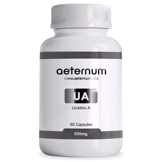 aeternum Urolithin A - UA - Capsules - 500mg - 60 Capsules