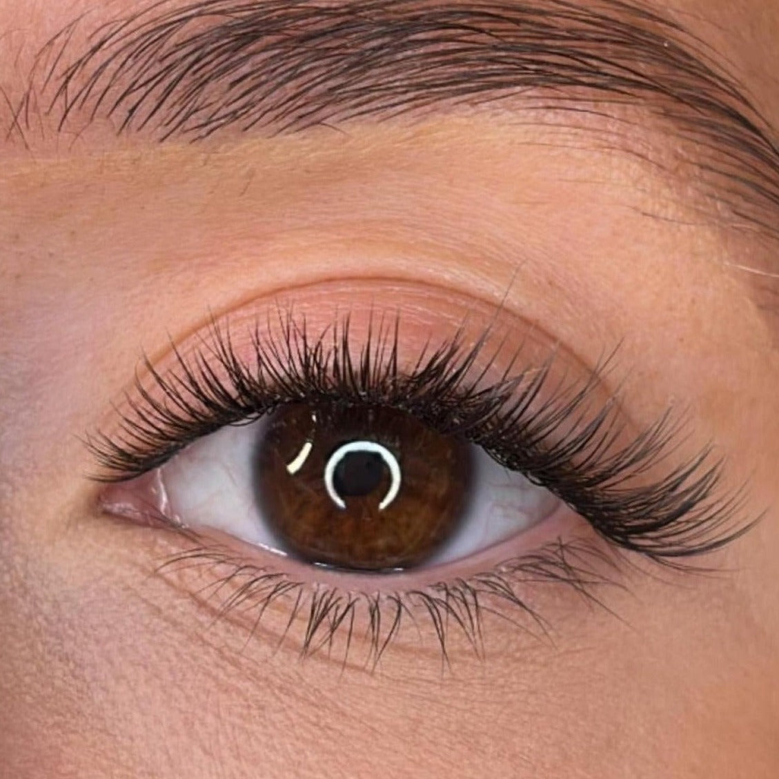 Aileen Pre Styled Lash Ribbons®