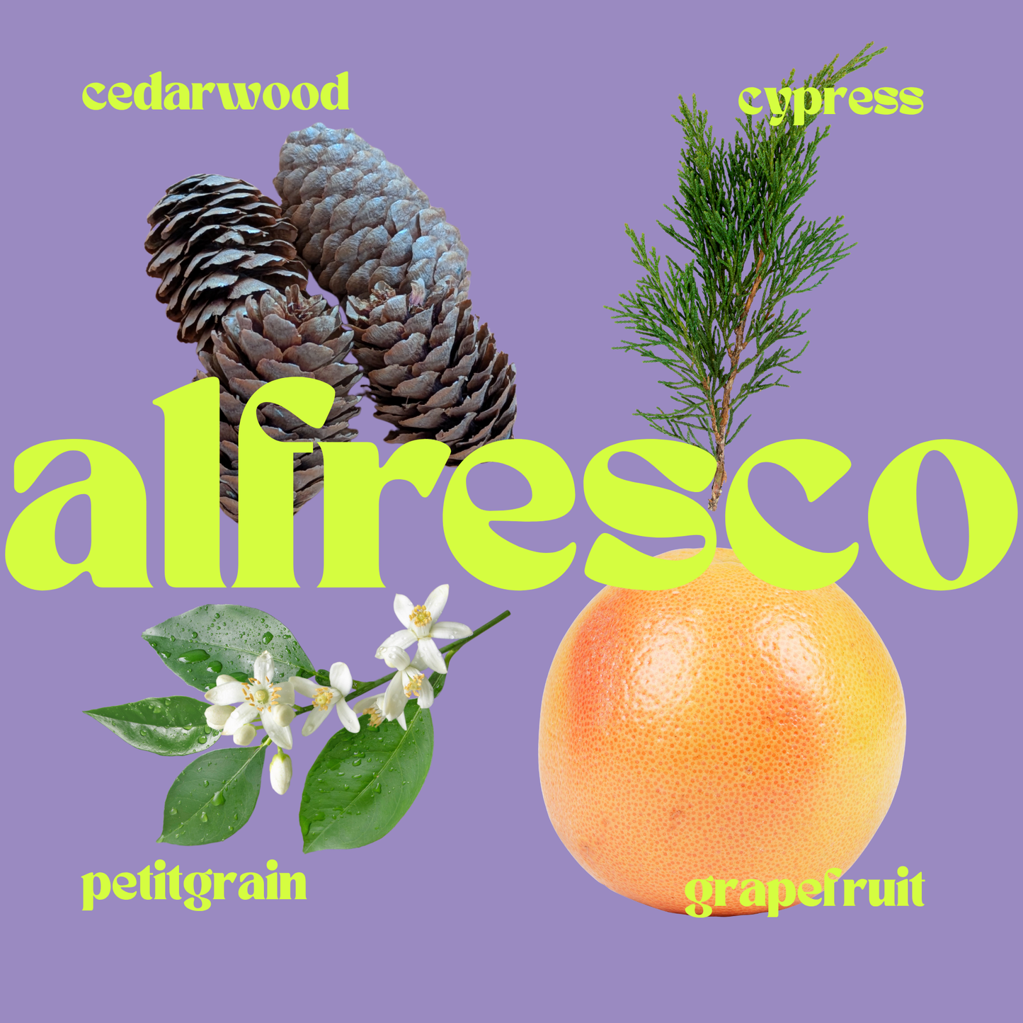 ALFRESCO diffuser set