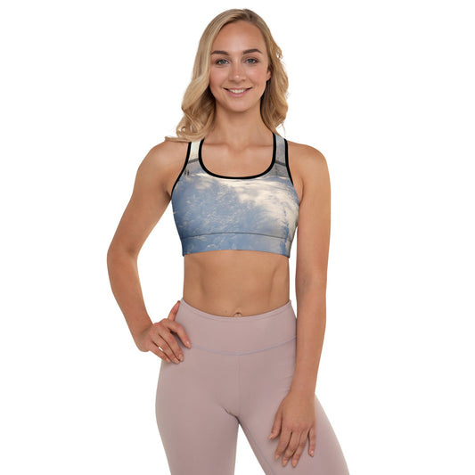 Padded Sports Bra