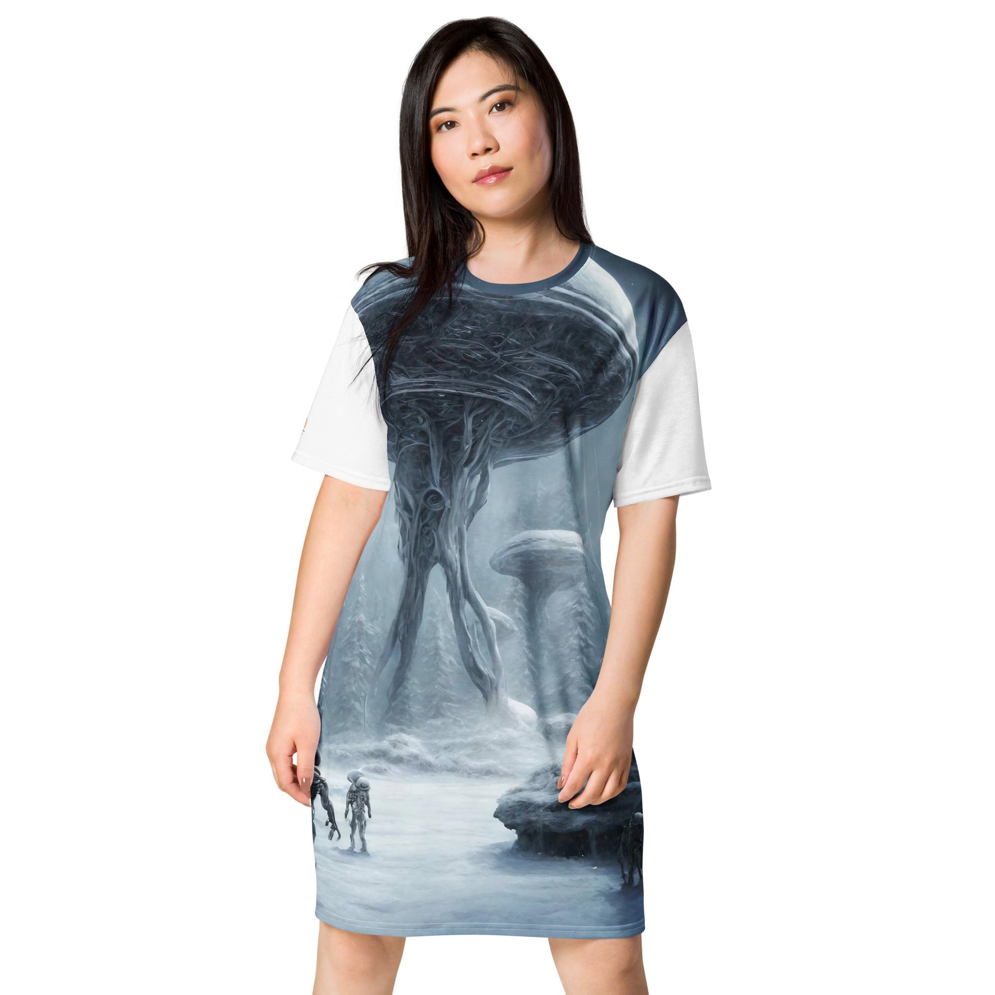 T-shirt dress