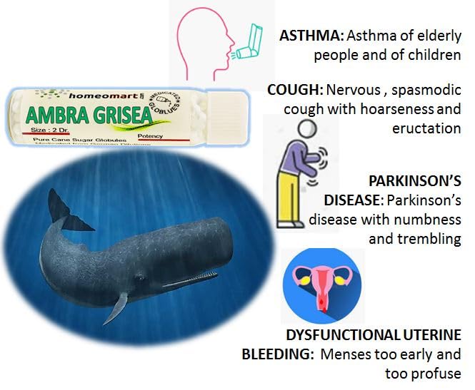 Ambra Grisea Homeopathy Pellets 200C Potency – Pack of 2 | HomeoMart