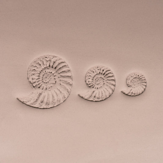Ammonite Fossil Shell Stamp - Photo Textured - Style #1