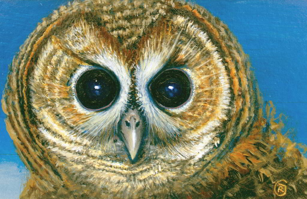 An Owl Portrait, original painting