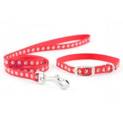 Ancol Nylon Puppy Set Red