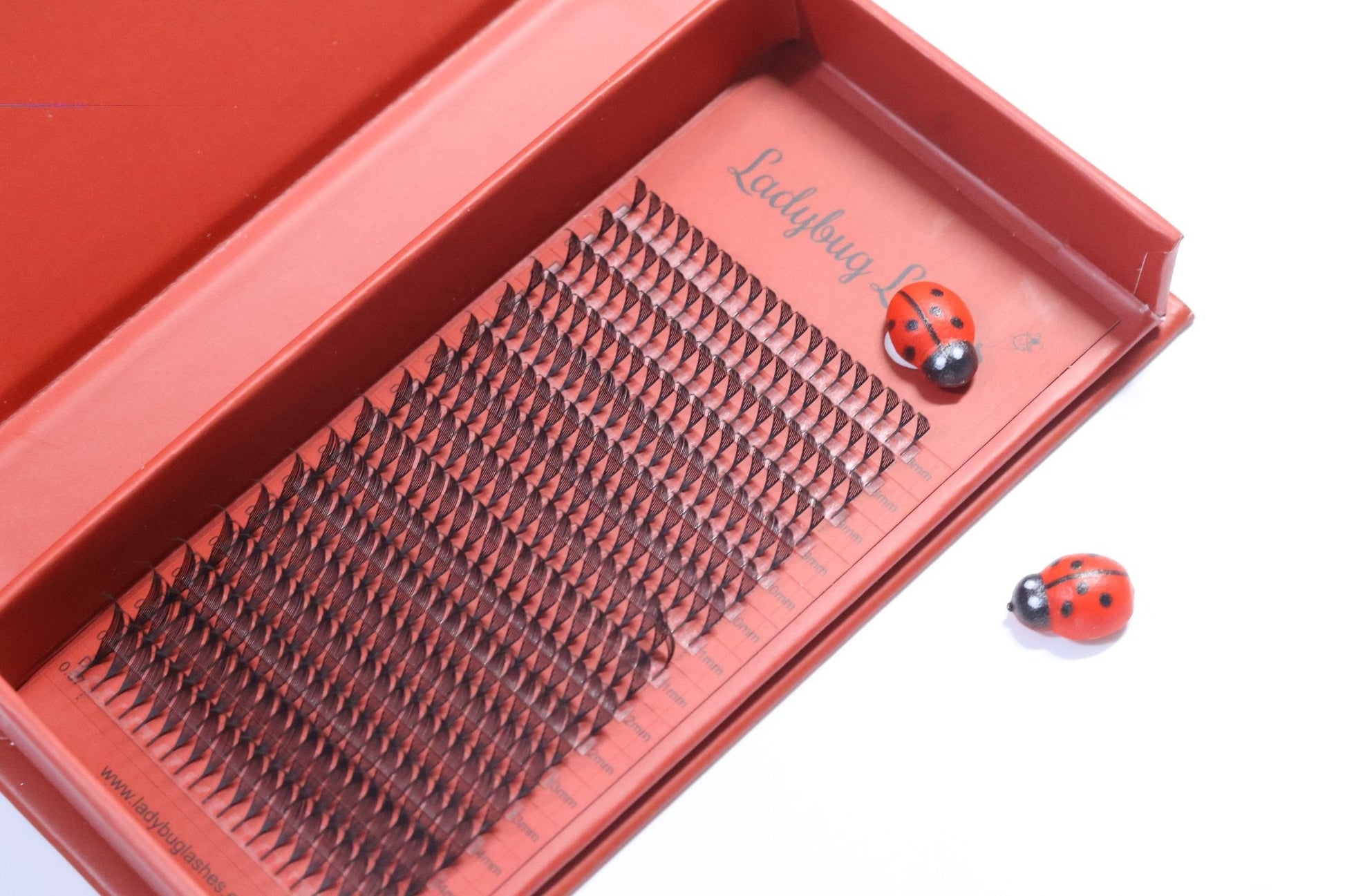 Anime Feather Lash Tray