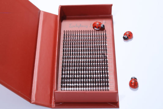 Anime Feather Lash Tray