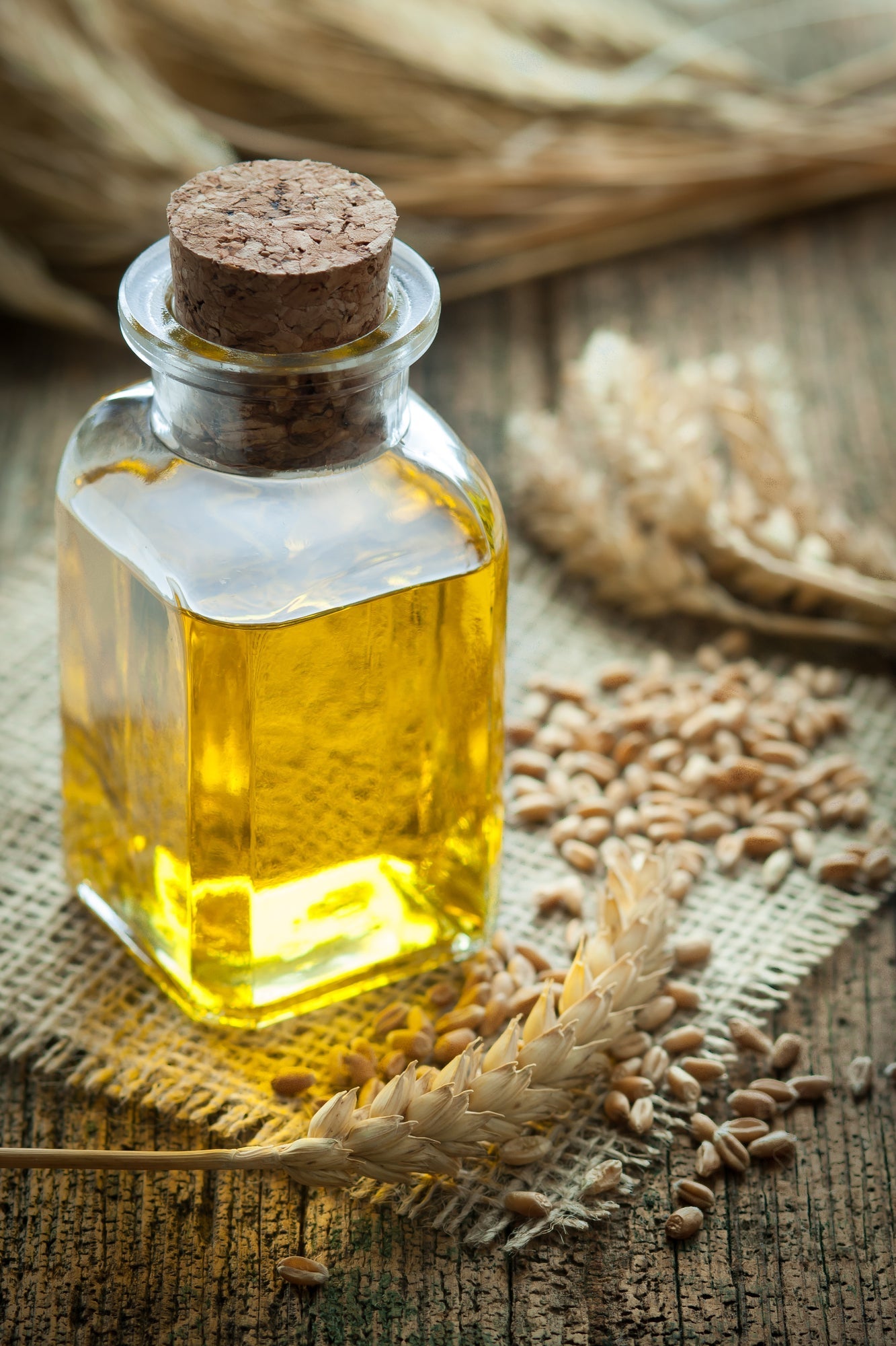 Apricot Kernel Oil (Prunus armeniaca) – Ideal for Personal Care Products 100% P