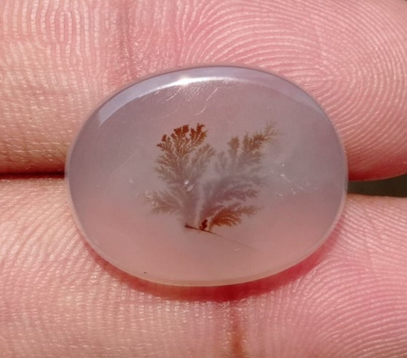 19.3ct Natural Dendritic Agate - Shajri Aqeeq -22x18x5mm