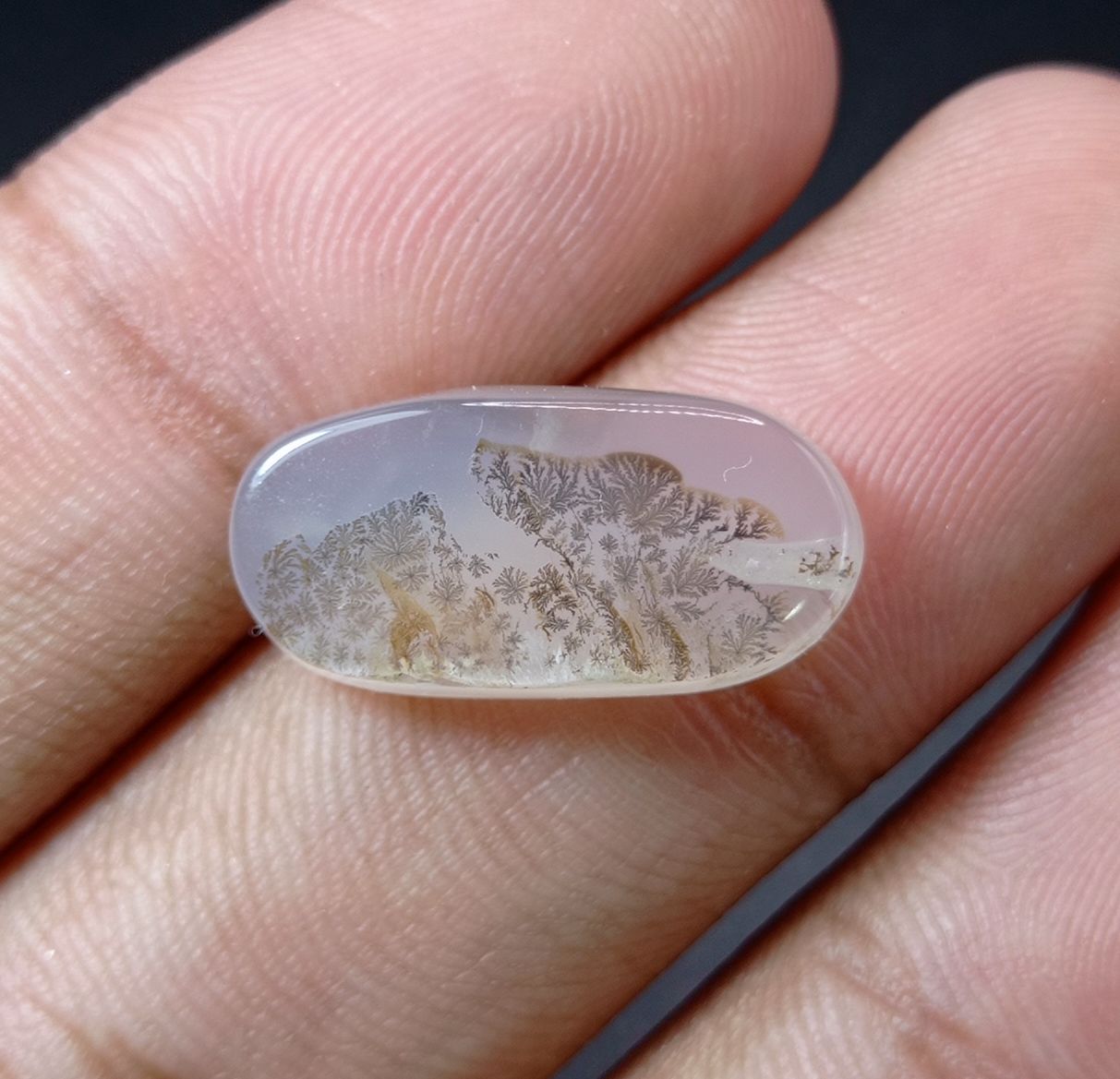 10.9ct Natural Dendritic Agate - Shajri Aqeeq -21x10x5mm
