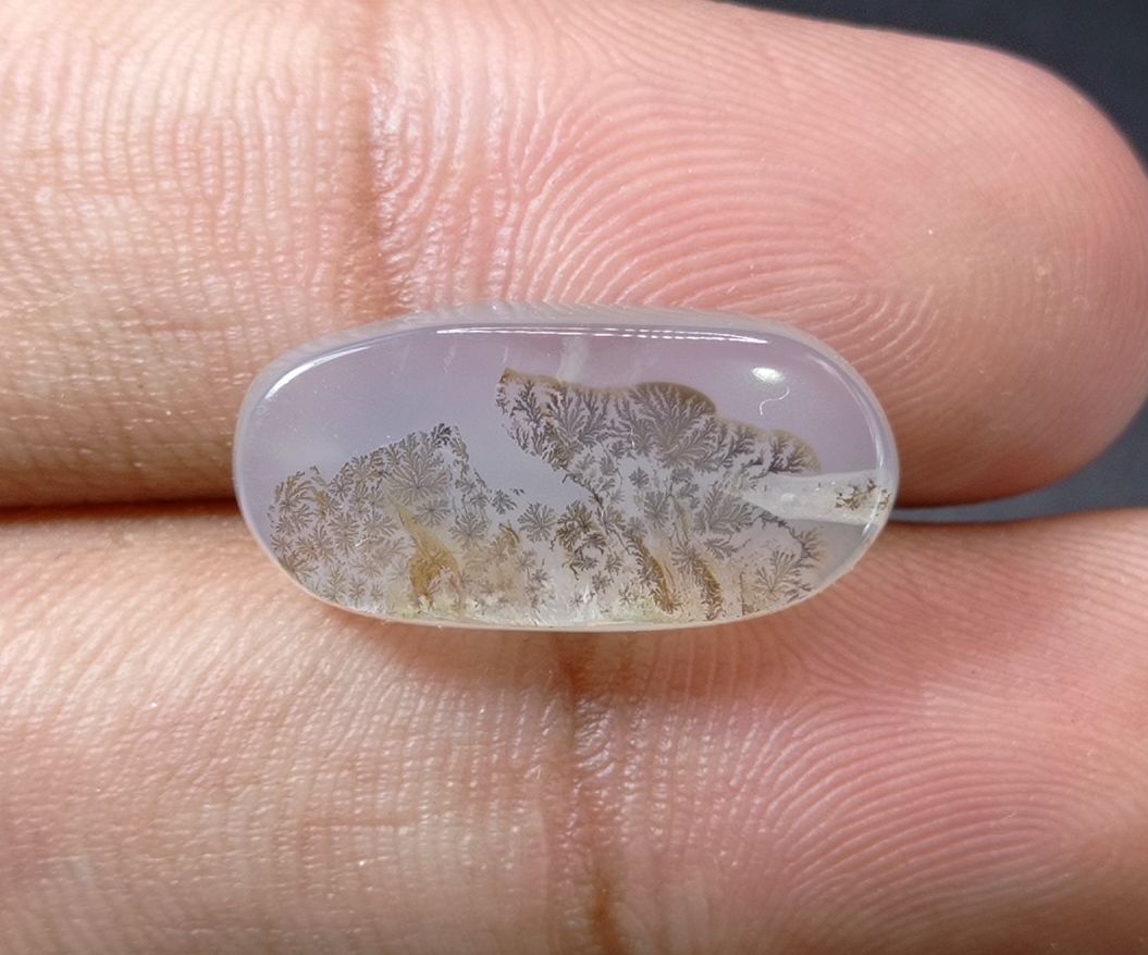 10.9ct Natural Dendritic Agate - Shajri Aqeeq -21x10x5mm
