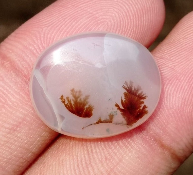 17.9ct-Natural Dendritic Agate - Shajri Aqeeq -22x17x6mm