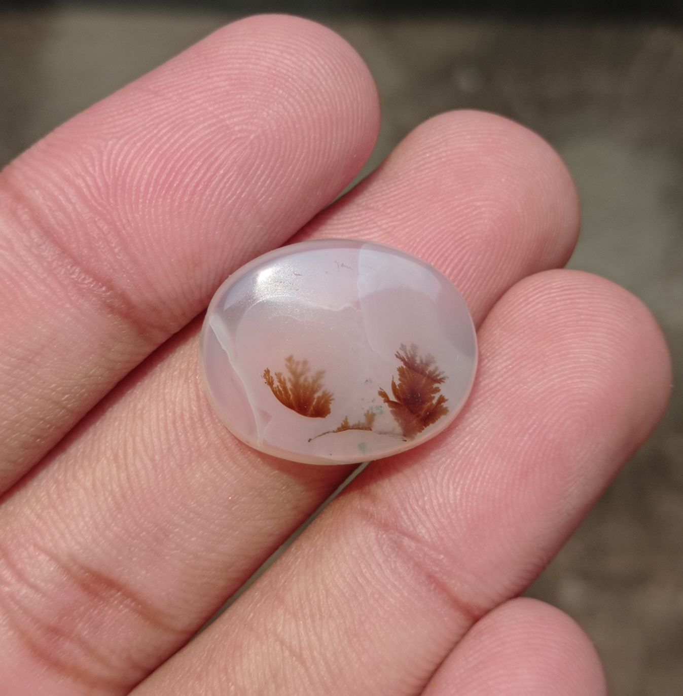17.9ct-Natural Dendritic Agate - Shajri Aqeeq -22x17x6mm