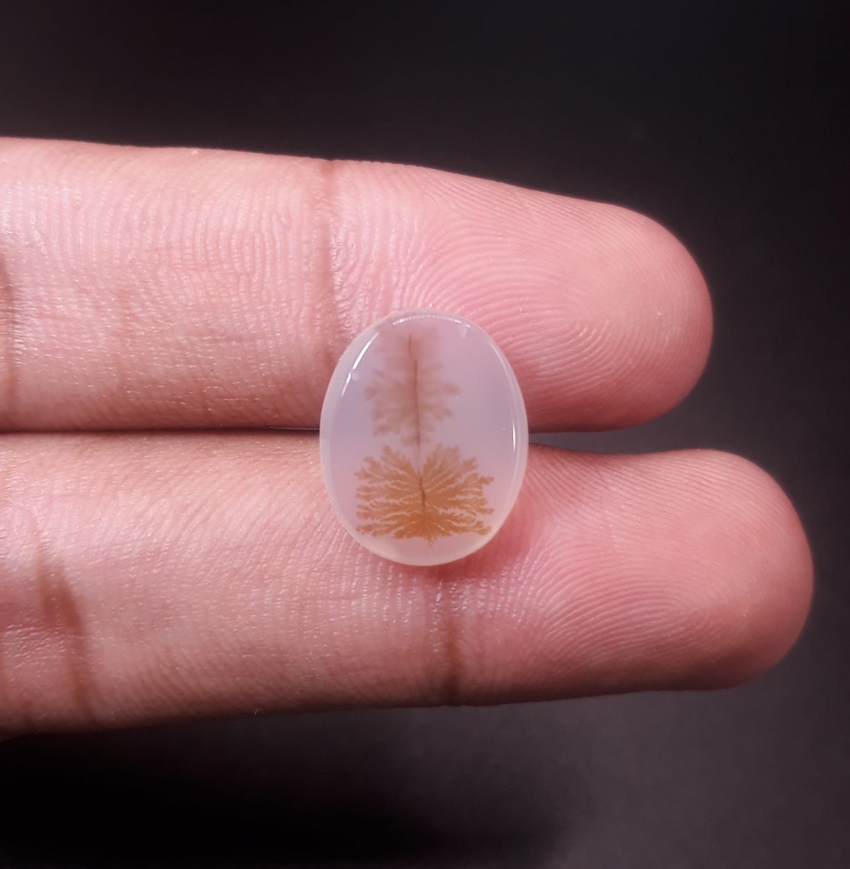 7.3ct Natural Dendritic Agate - Shajri Aqeeq -16x13x4mm