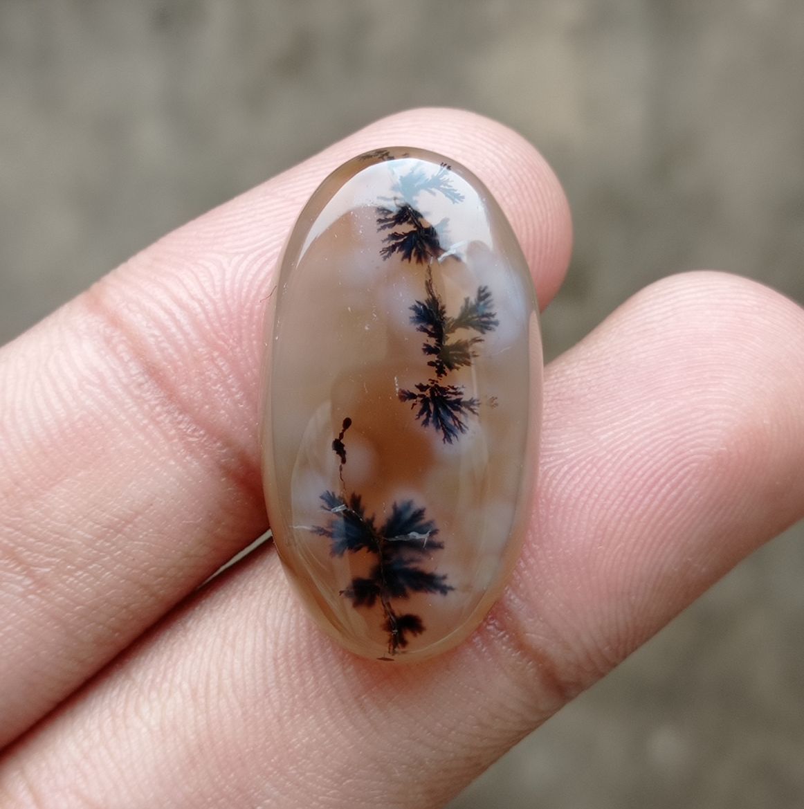 33.5ct Natural Dendritic Agate - Shajri Aqeeq -30x16x8mm