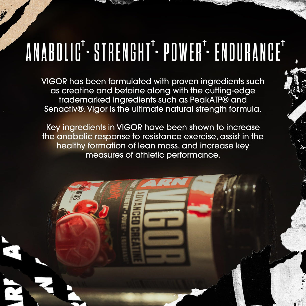Arms Race Nutrition ARN Vigor Advanced Creatine Formula – 30 Servings (Punch)