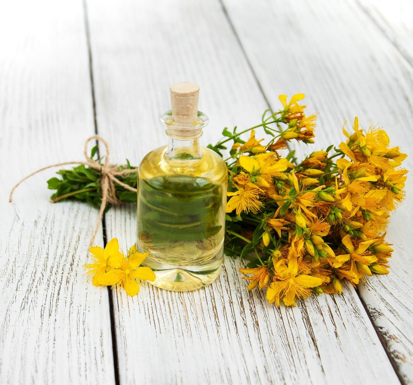 Arnica Cream for Bruises & Scars – Handmade Herbal Ointment