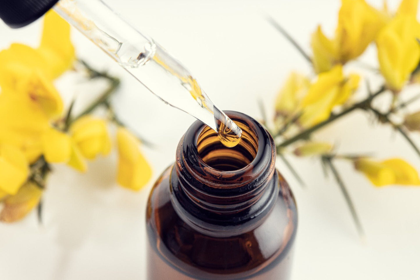 Arnica Massage Oil – Natural Herbal Remedy for Bruises Swelling & Aches Handmade