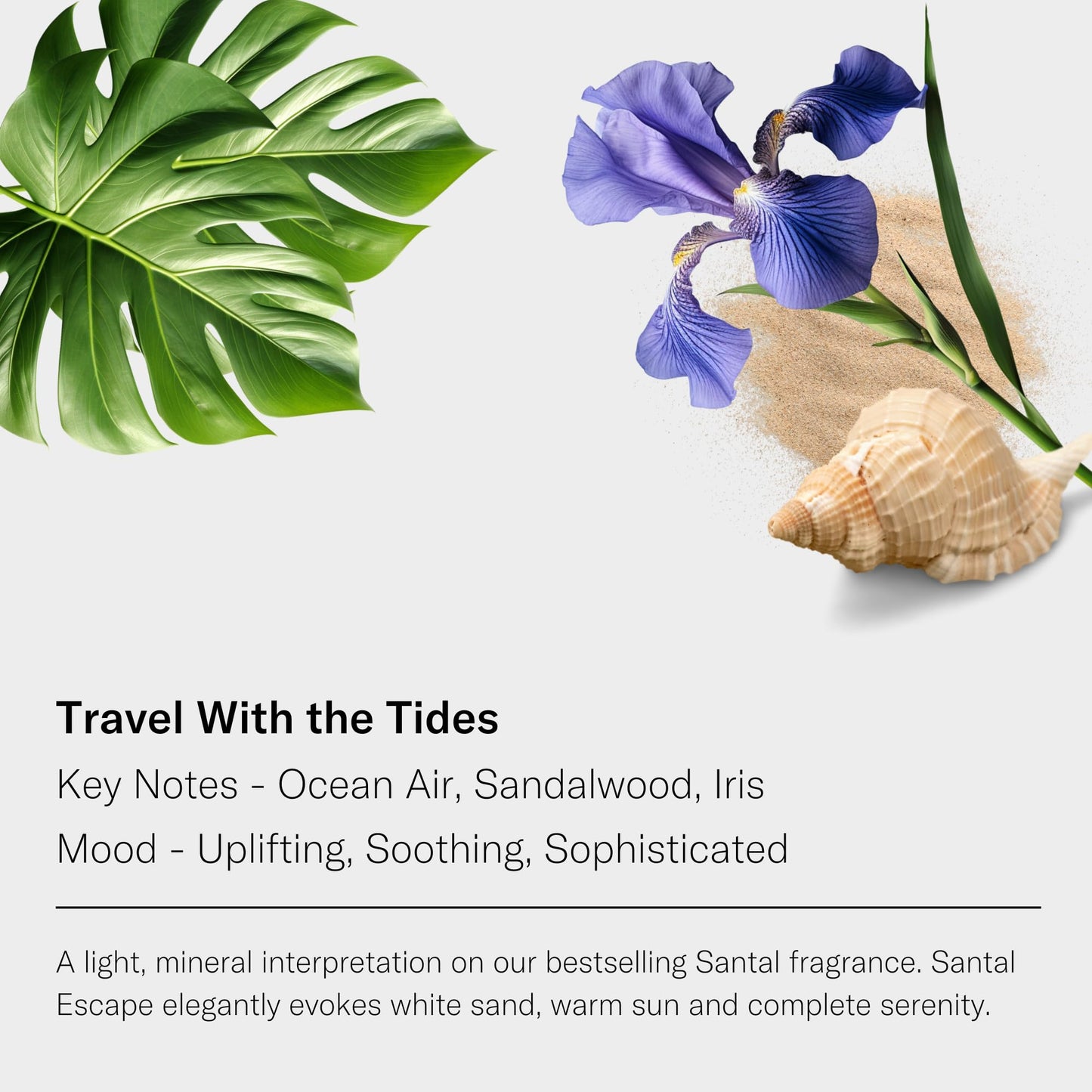 AromaTech Santal Escape Aroma Essential Oil Blend – Ocean Air, Sandalwood & Iris | Luxury Hotel Inspired 16 oz / 500 mL