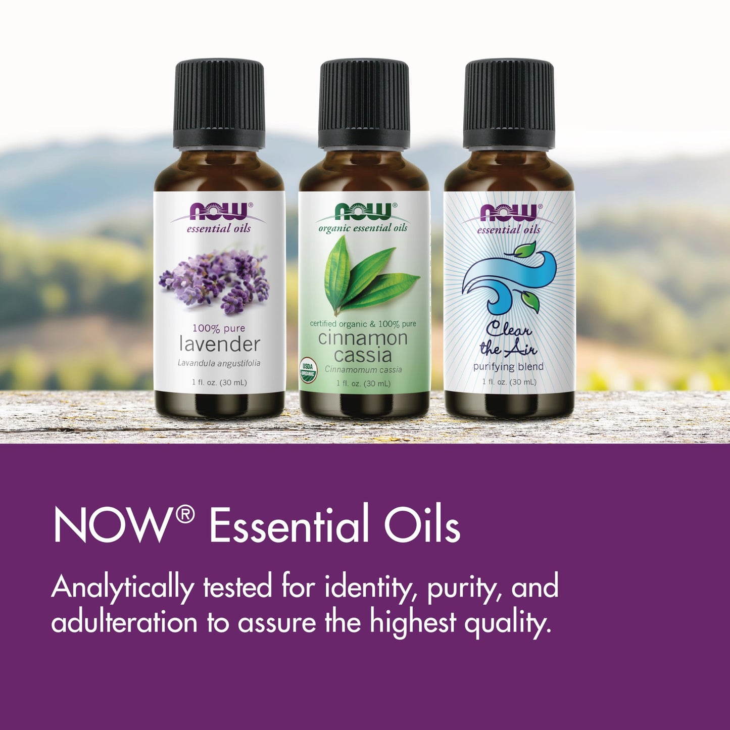 NOW Essential Oils Oil of Oregano 25% Blend in Olive Oil 1 oz