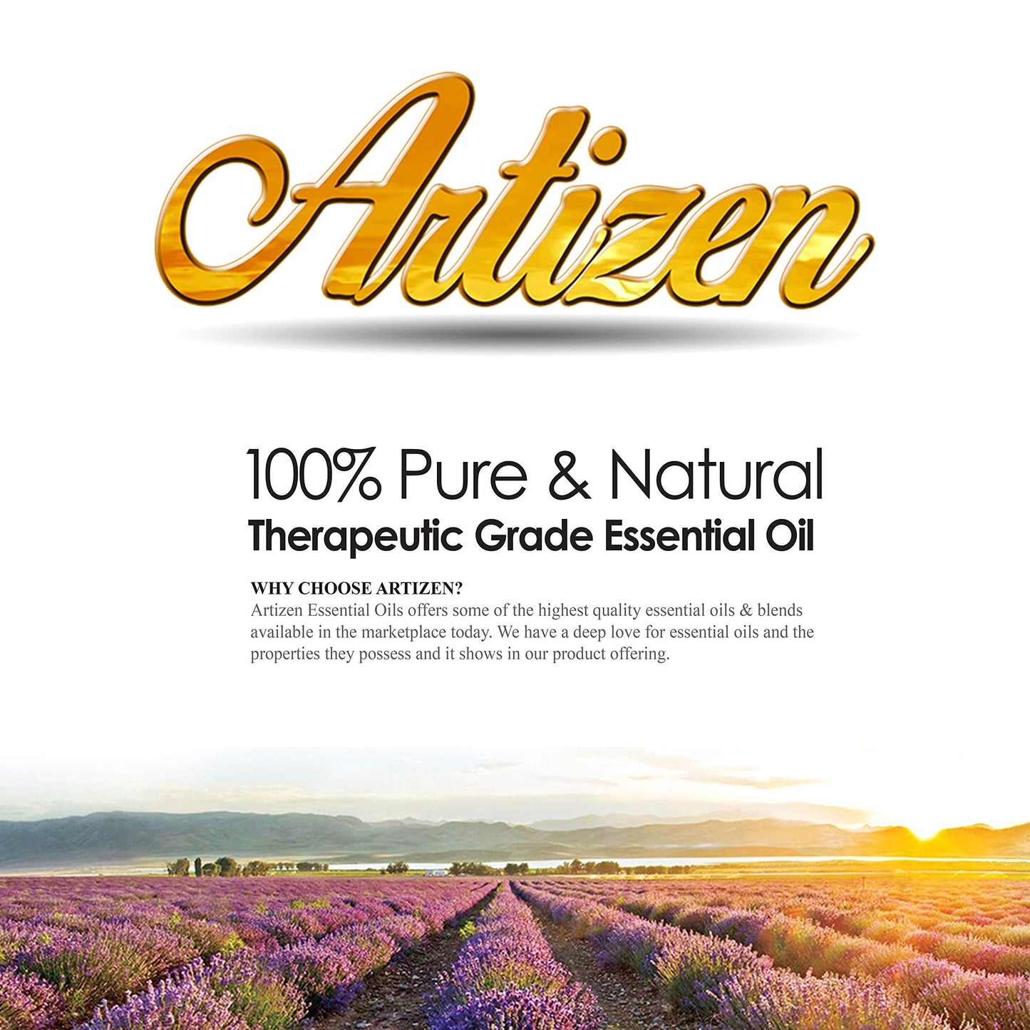 Artizen Birch Essential Oil - 2 oz (2 Fluid Ounces) - 100% Pure & Natural