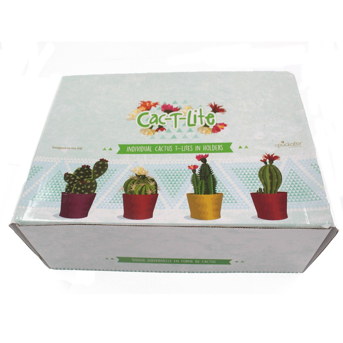 Cactus Candles - Animal Pot (asst) Display