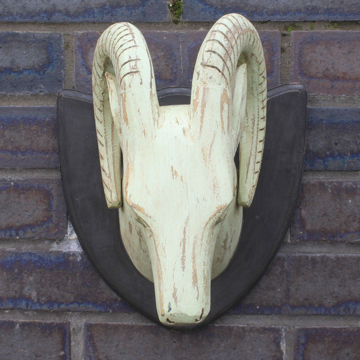 Mintwash Curved Horn Deer Head