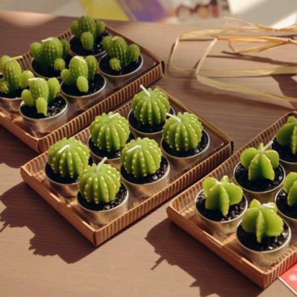 Set of 6 Agave Cactus Tealights in Gift Box