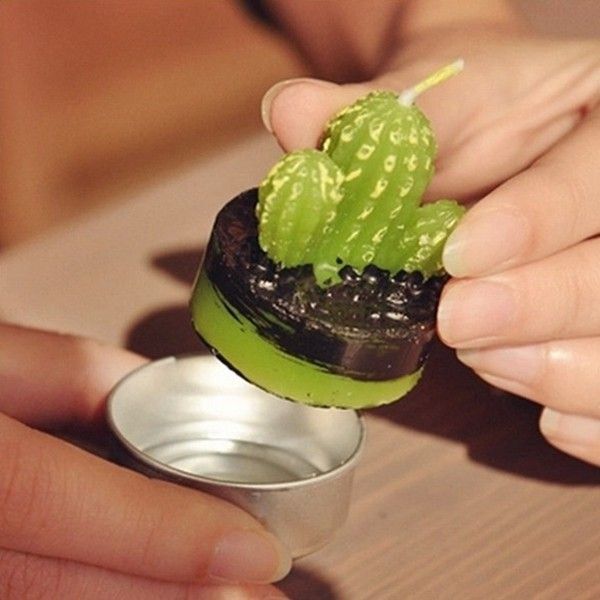 Set of 6 Agave Cactus Tealights in Gift Box