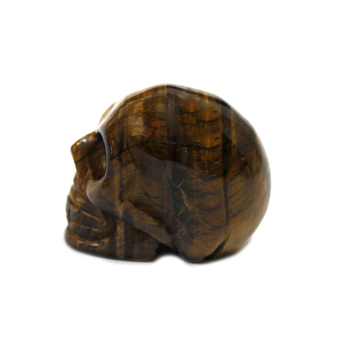 Gemstone Skull - Tiger Eye