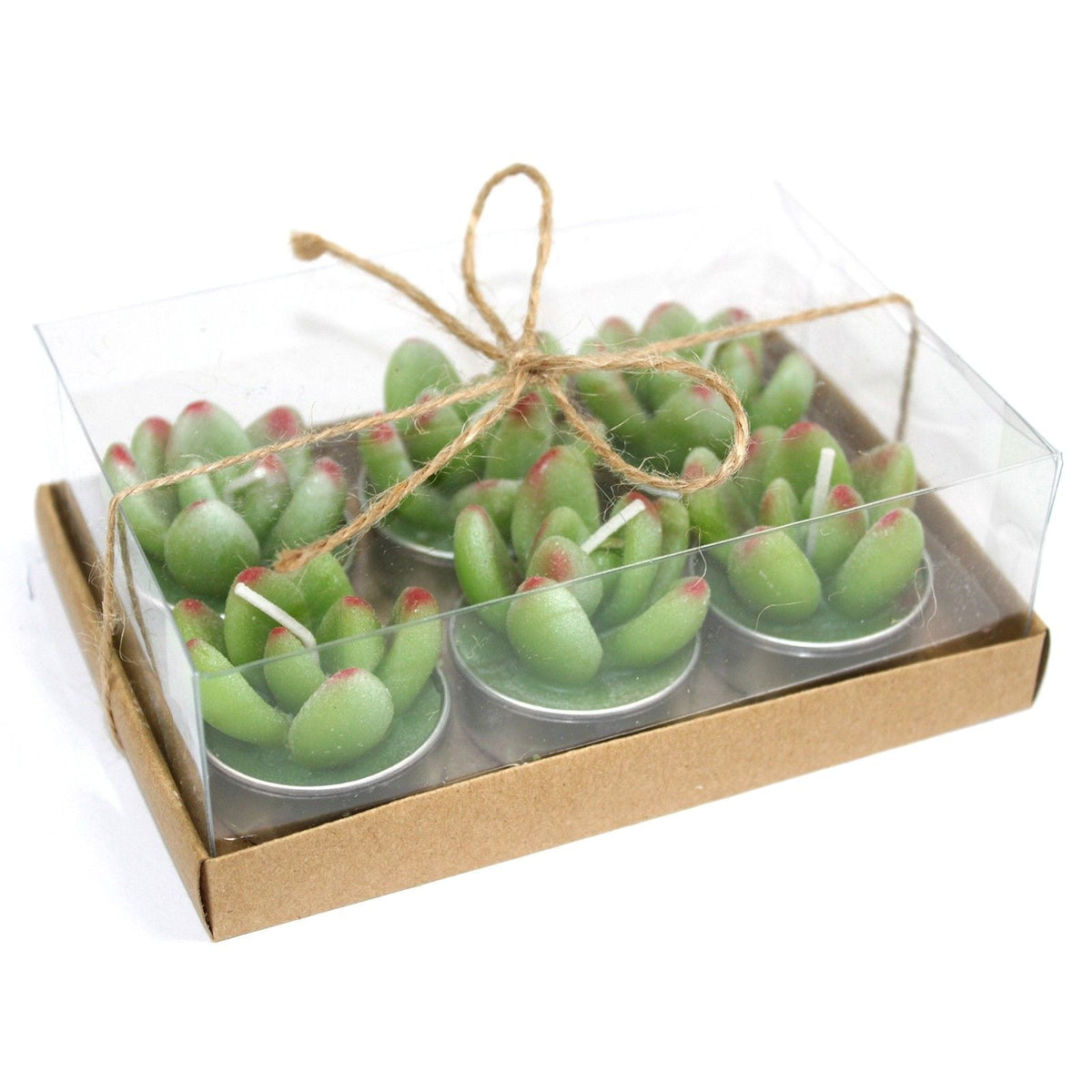 Set of 6 Succulent Cactus Tealights in Gift Box