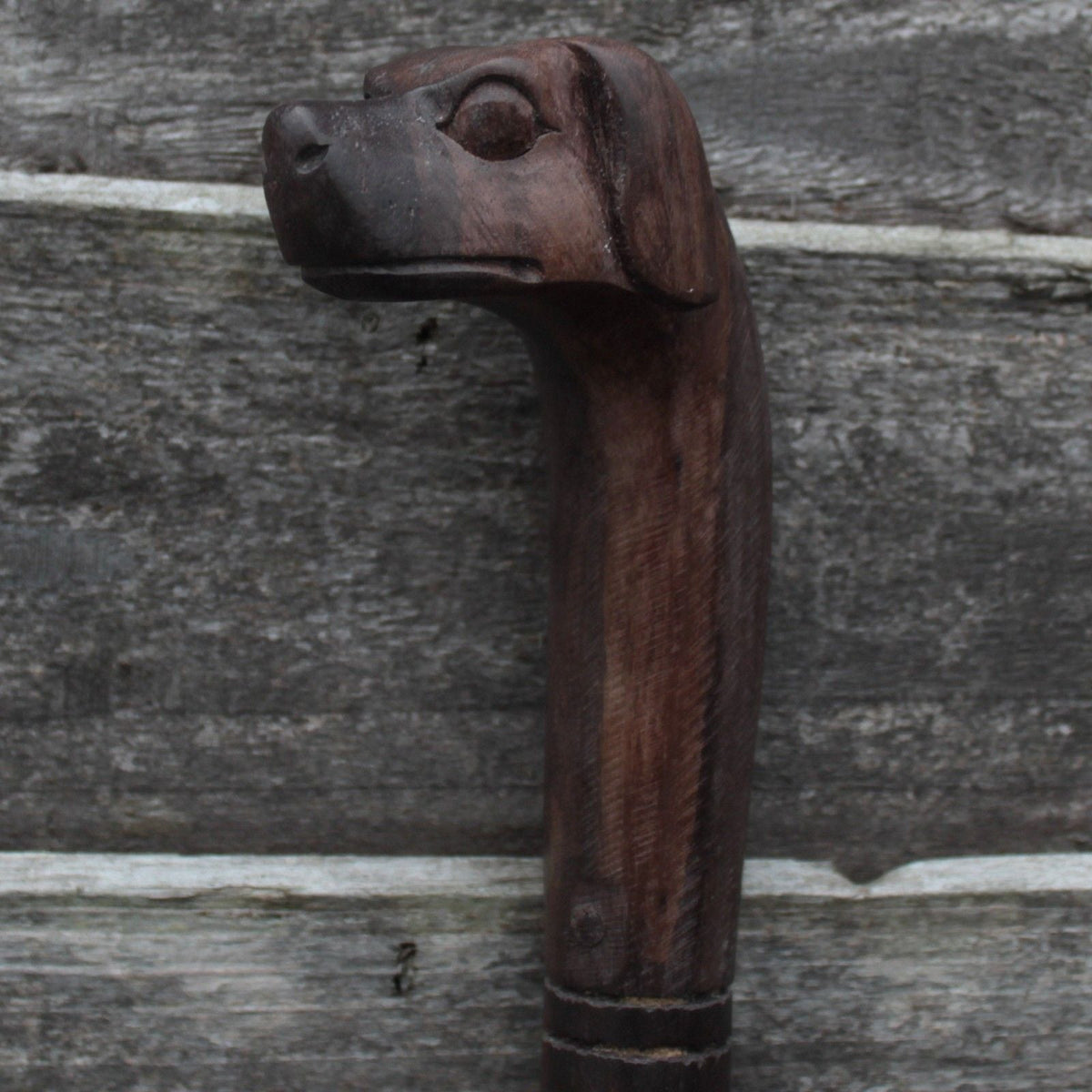 Walking Stick - Dog