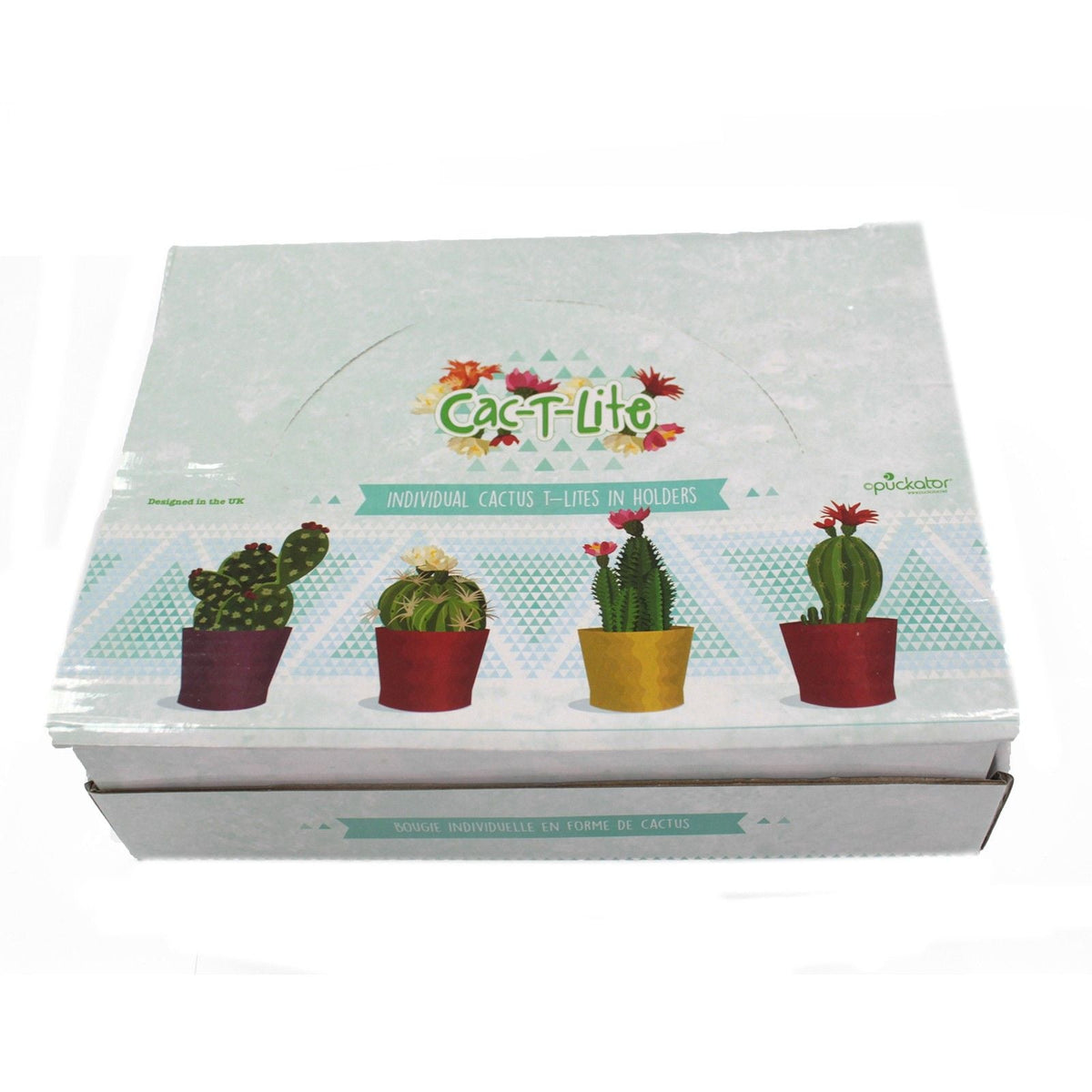 Cactus Candles - Cactus Pot (asst) Display
