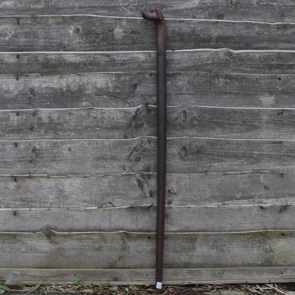 Walking Stick - Dog