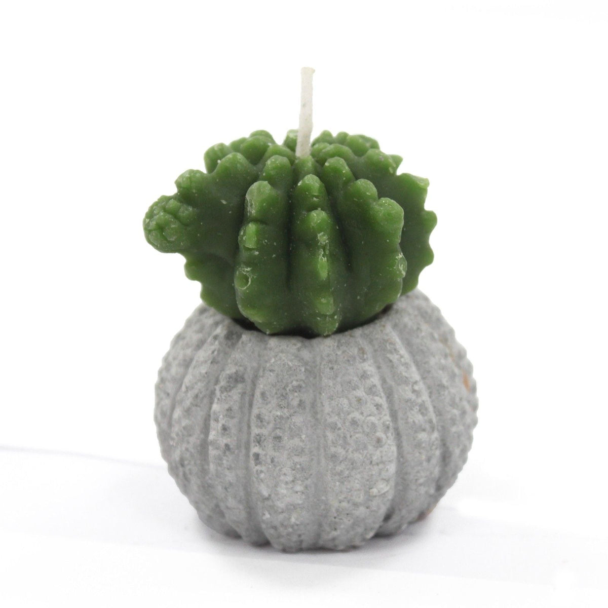 Cactus Candles - Cactus Pot (asst) Display