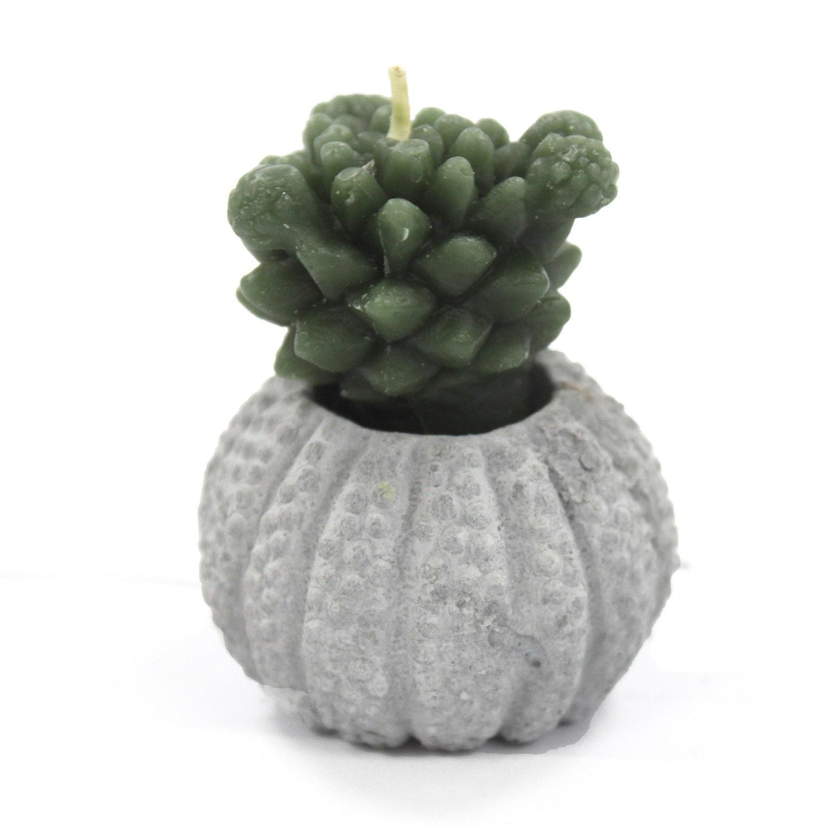 Cactus Candles - Cactus Pot (asst) Display
