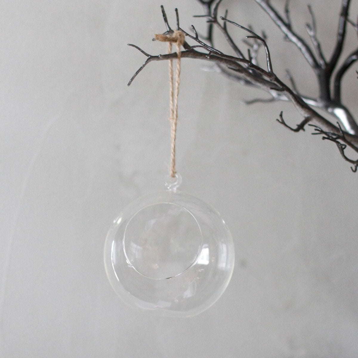 All Glass Terrarium - Globe Hanging Bowl