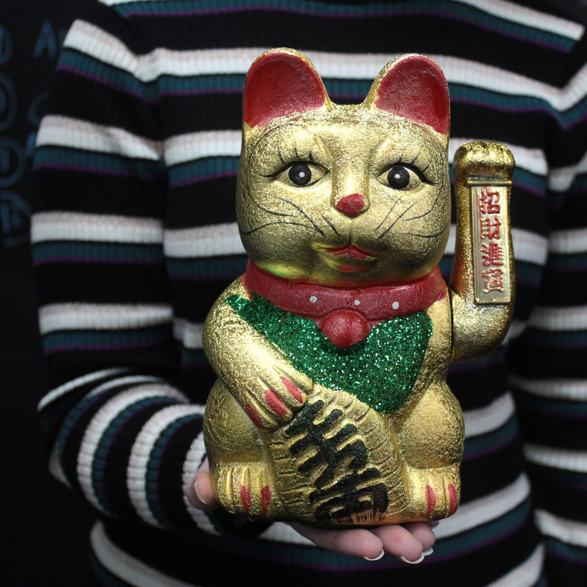 Large Money Cat