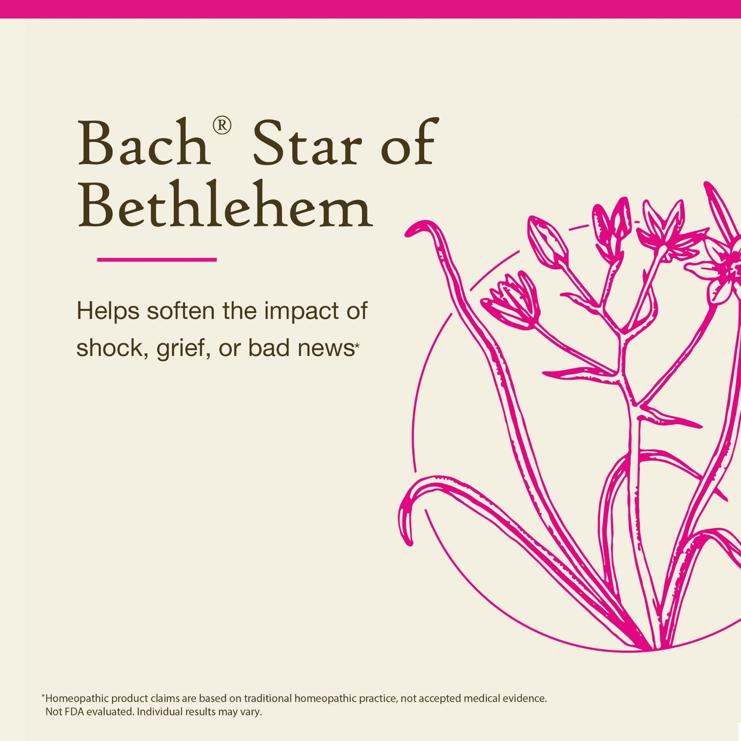 Star of Bethlehem Bach Original Flower Remedies – 20mL Dropper (Pack of 2) – Emotional Balance