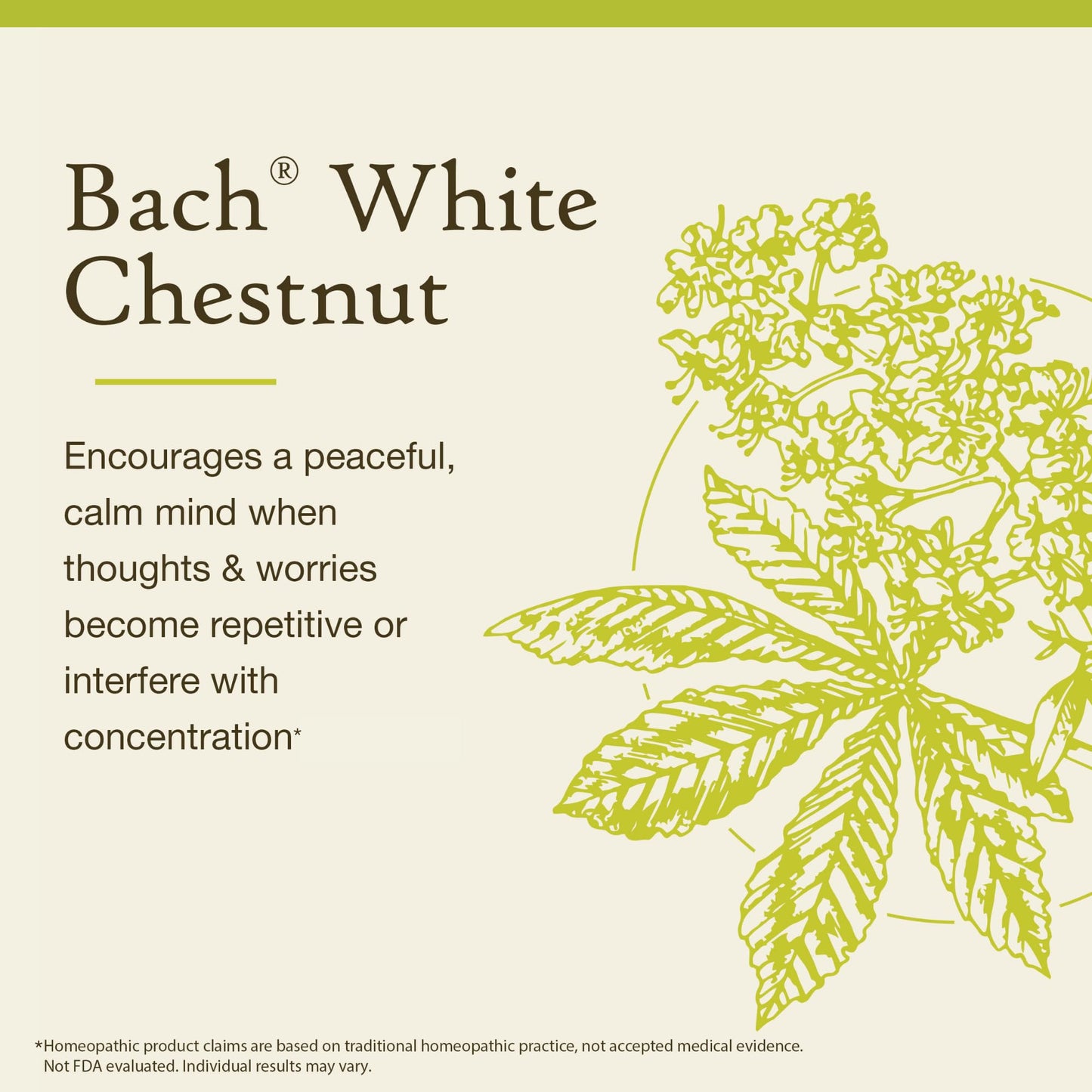 Bach Original Flower Remedies White Chestnut – Calm the Mind, 20 mL Dropper – Vegan, Gluten Free, Sugar Free