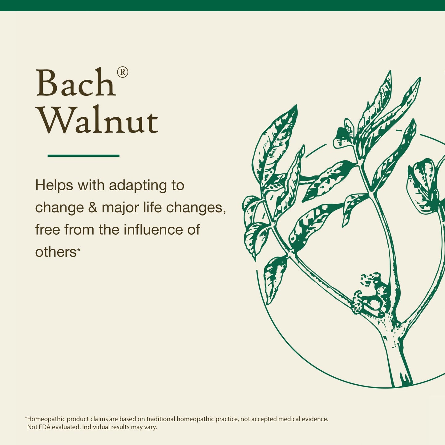 Bach Walnut Flower Remedy – Adapt to Change (20mL Dropper) | Vegan, Gluten Free, Sugar Free