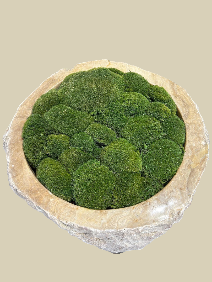 Raw Edge Onyx Planter Pot