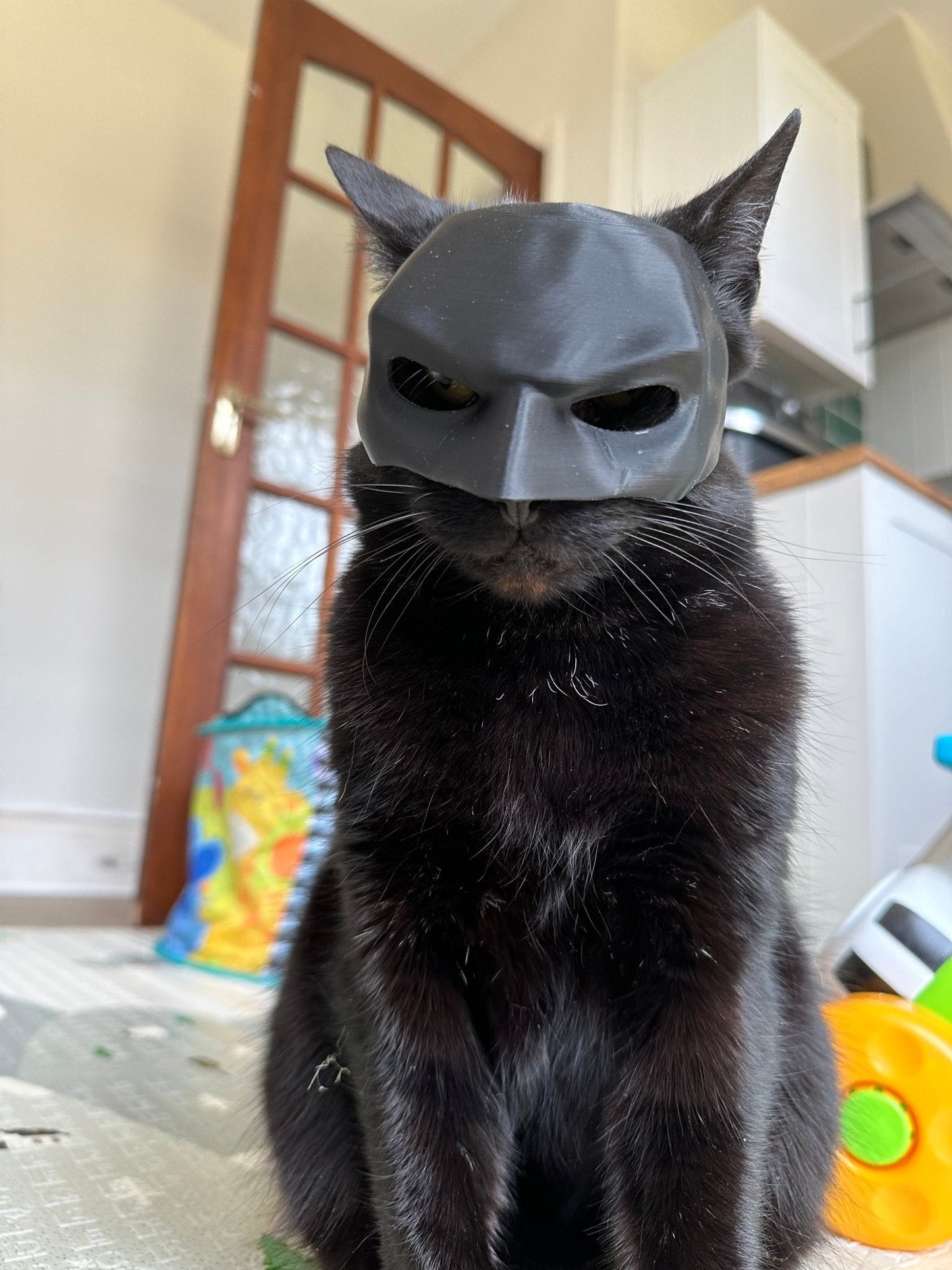 Bat Cat Cosplay Mask – Funny Cat Costume for TikTok, Halloween, Pet Cosplay, Hero Villain Dress Up