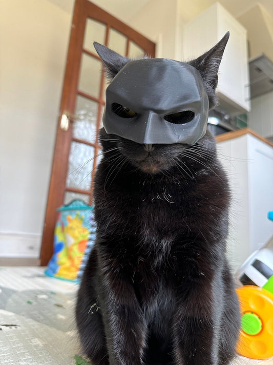 Bat Cat Cosplay Mask – Funny Cat Costume for TikTok, Halloween, Pet Cosplay, Hero Villain Dress Up
